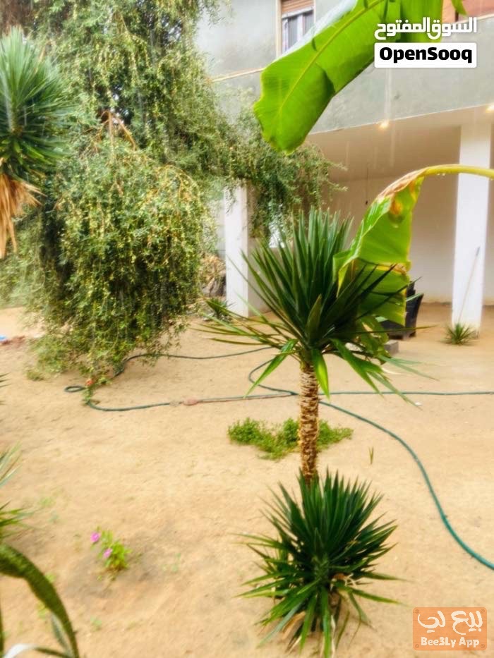 قطعه ارض في المخطط 718 متر في عراده 2